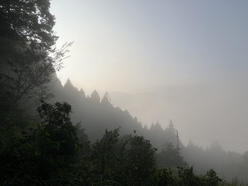 熊野古道 中辺路 早朝